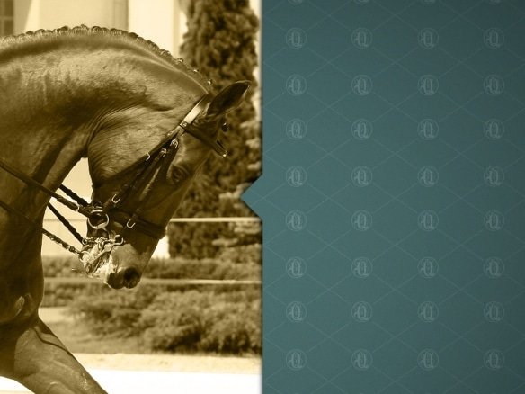 Quintas de São Jose do Rio Negro Tarumã Manaus