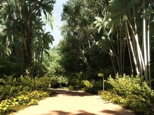 Quintas de São Jose do Rio Negro Tarumã Manaus