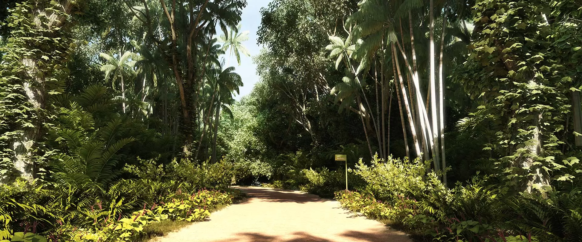 Quintas de São Jose do Rio Negro Tarumã Manaus