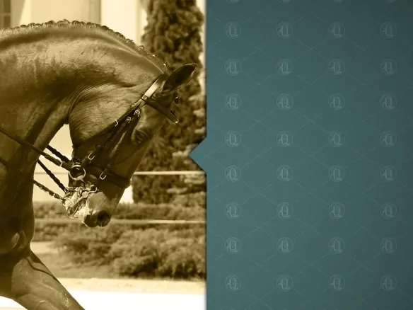 Quintas de São Jose do Rio Negro Tarumã Manaus